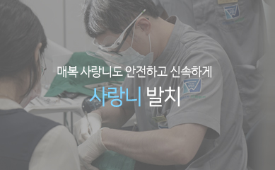 매복 사랑니도 안전하고 신속하게 사랑니 발치